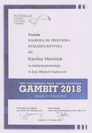 GAMBIT 2018